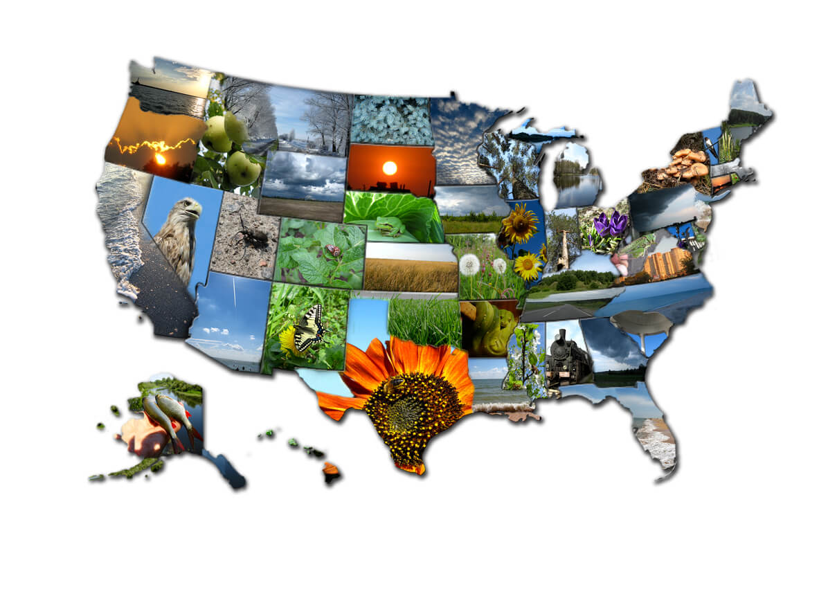 State-by-State Summer Camp Finder - US Summer Camps